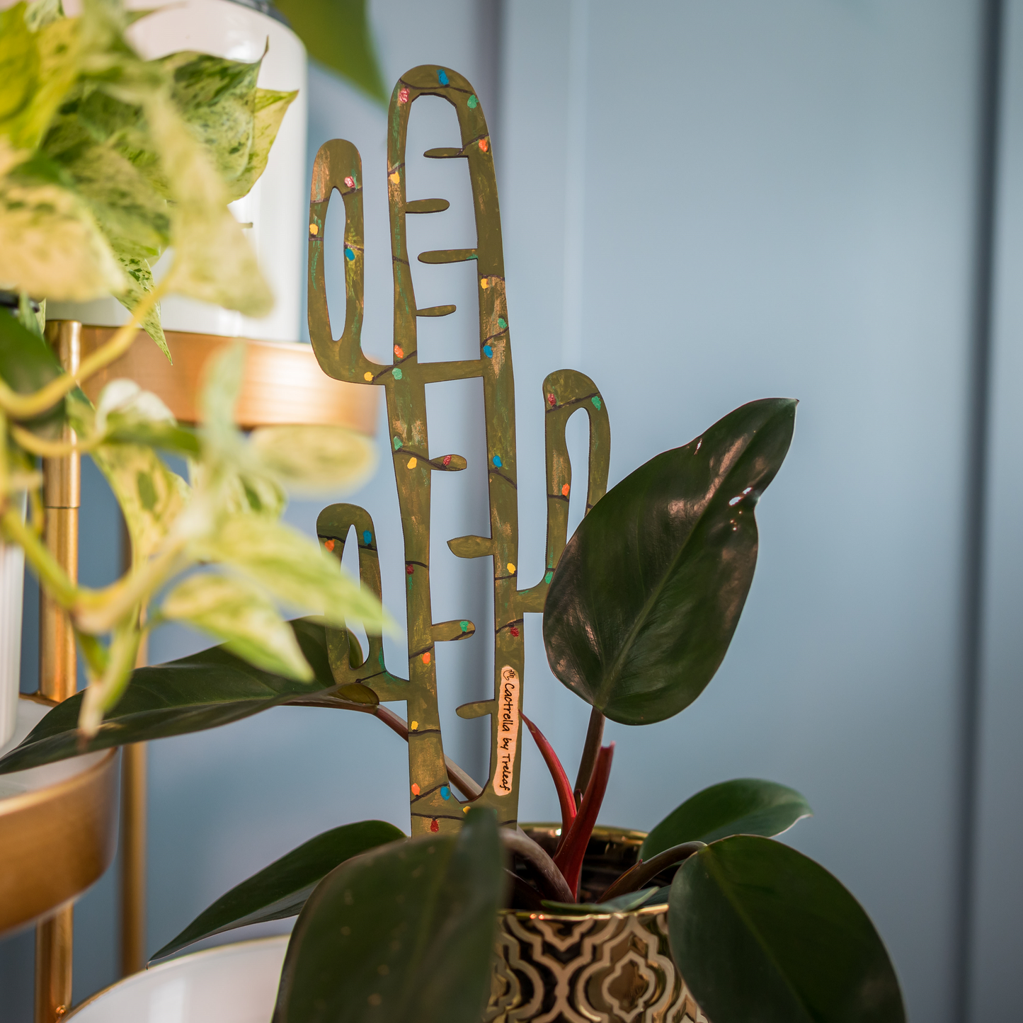 BARE™ Cactrella™ - Customizable wooden plant support - Inspired by the Barrel Cactus