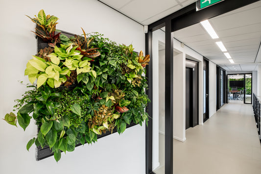 LivePanel Pack - Not Including Plants