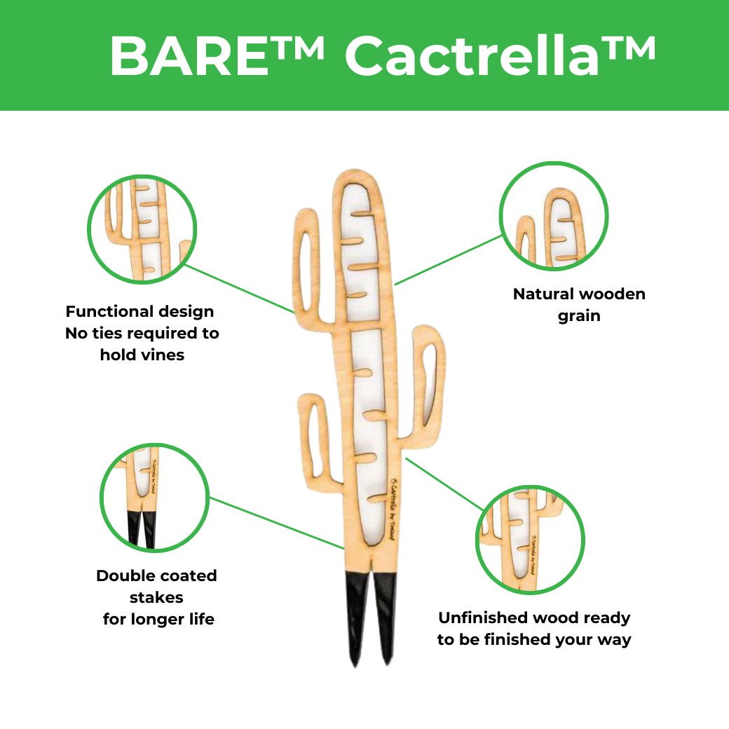 BARE™ Cactrella™ - Customizable wooden plant support - Inspired by the Barrel Cactus