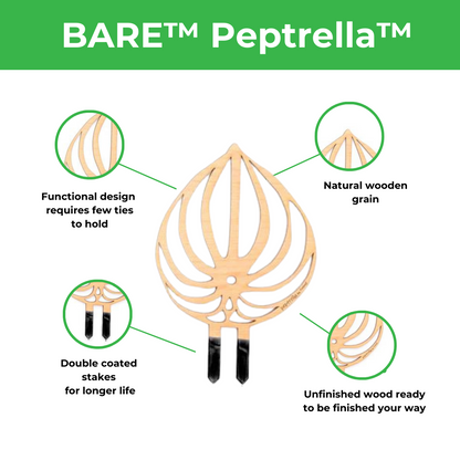 BARE™ Peptrella™ - Customizable wooden plant support - Inspired by the Peperomia leaf
