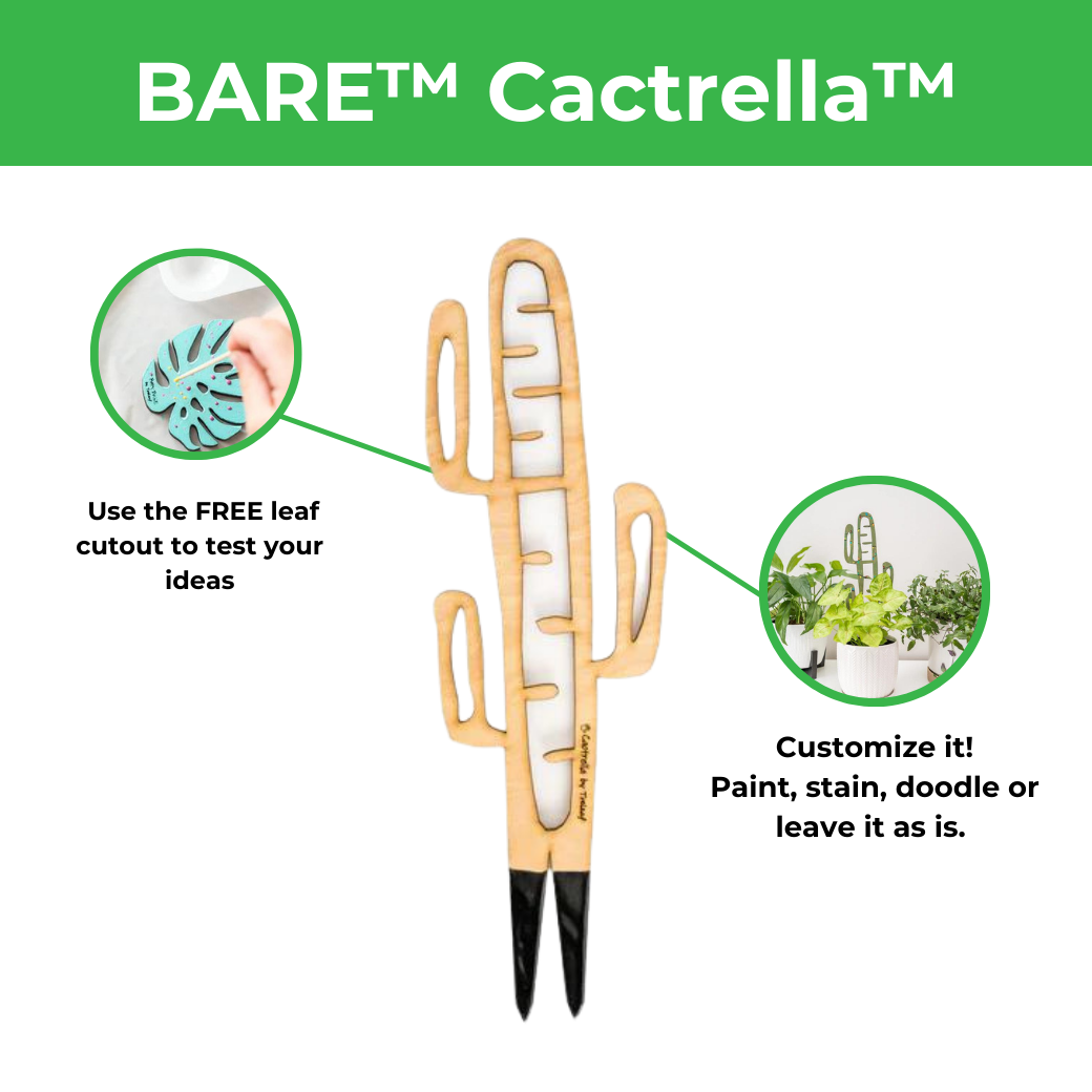 BARE™ Cactrella™ - Customizable wooden plant support - Inspired by the Barrel Cactus