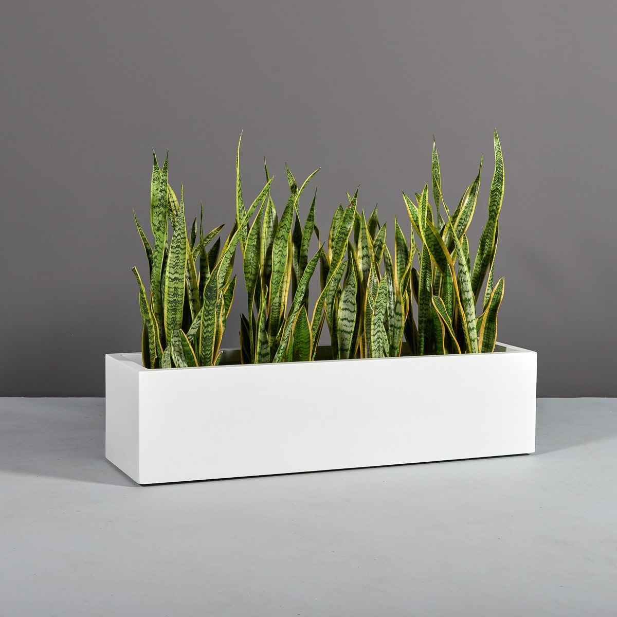 Cuba Low Rectangular Planter