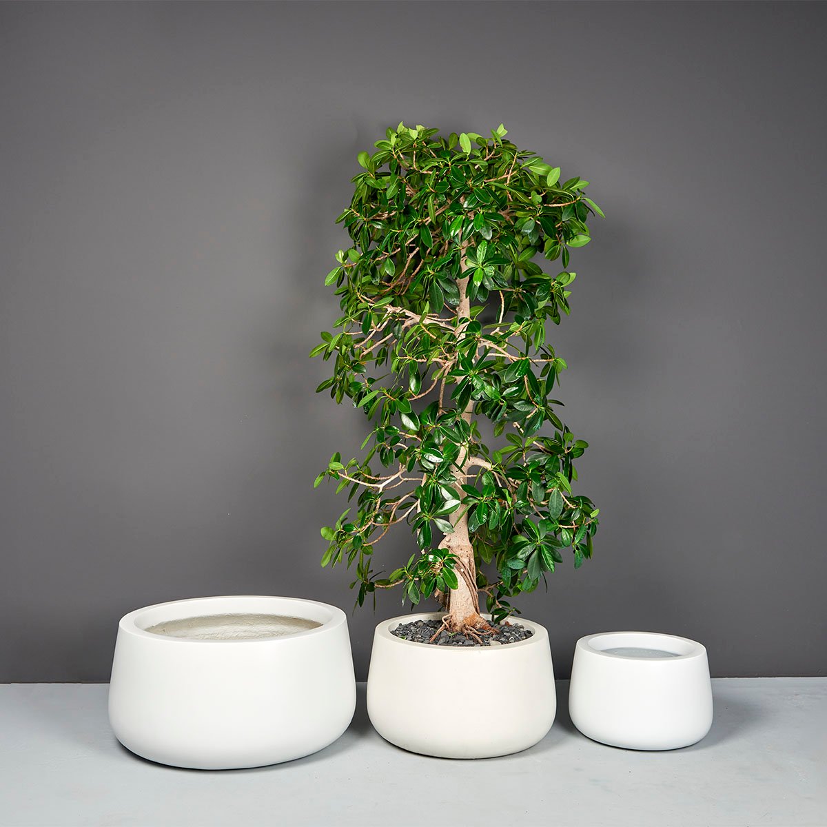 Short Hayden Tapered Round Planter