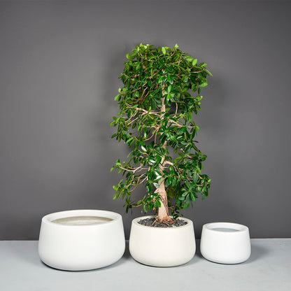 Short Hayden Tapered Round Planter