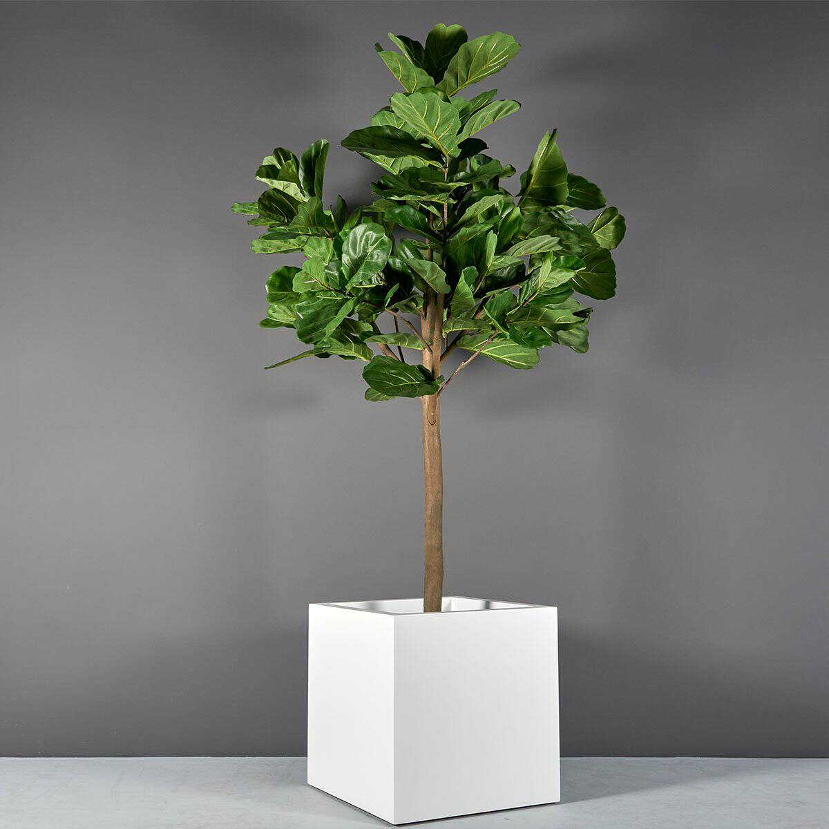 Large Montroy Cube Planter