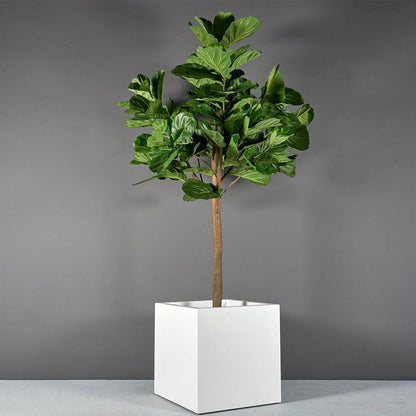 Montroy Cube Planter