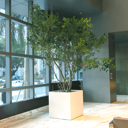 Large Montroy Cube Planter