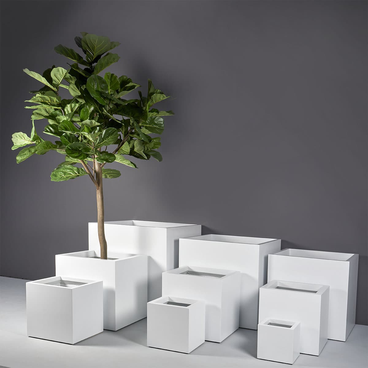 Large Montroy Cube Planter