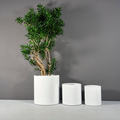 Rio Grande Cylinder Planter