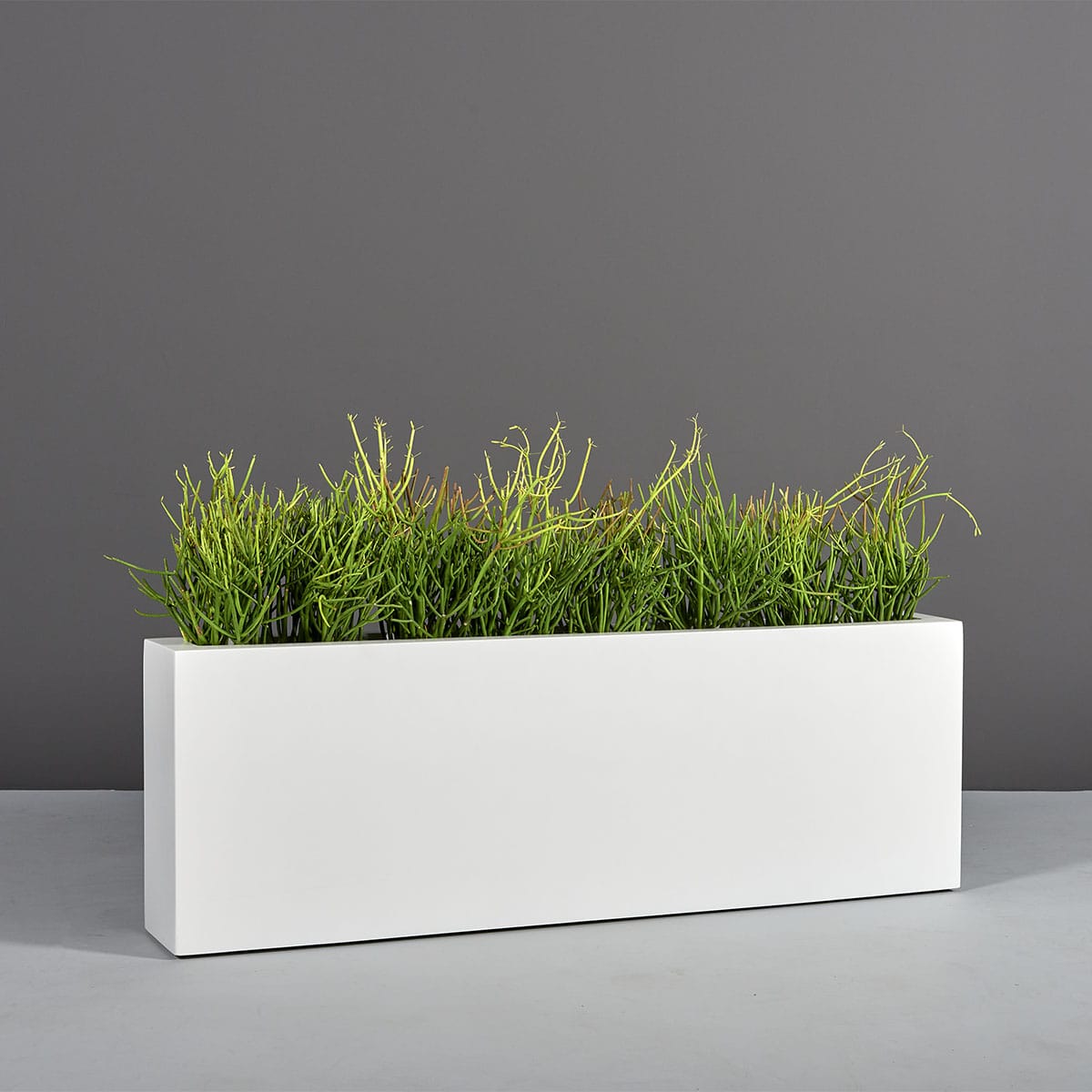 Camoux Narrow Rectangular Planter