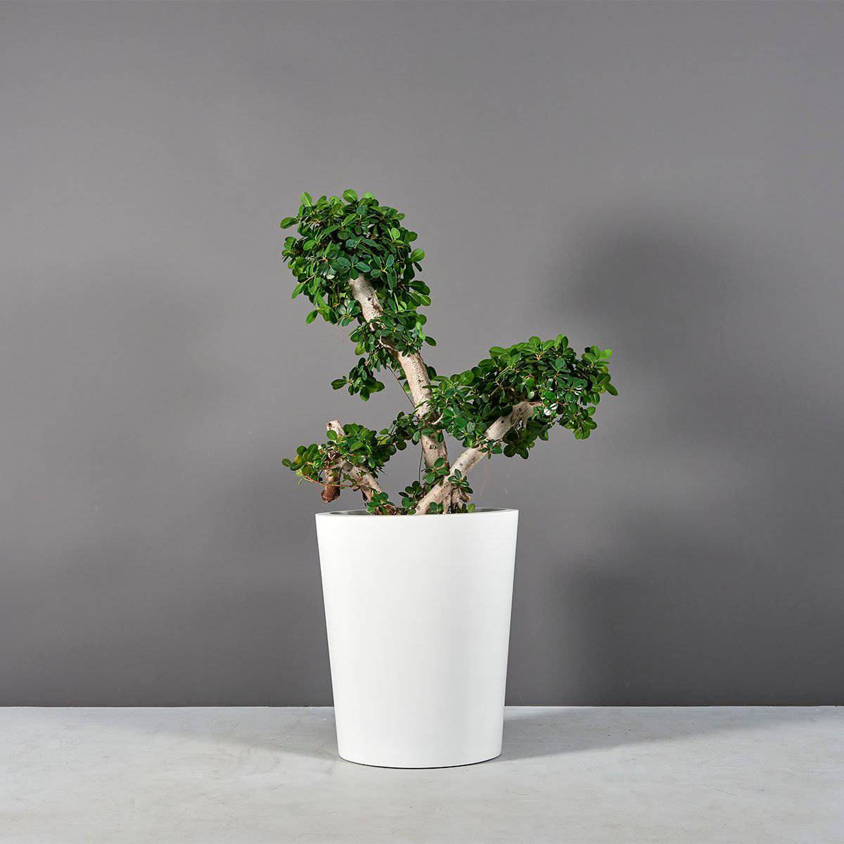 Pego Oval Planter