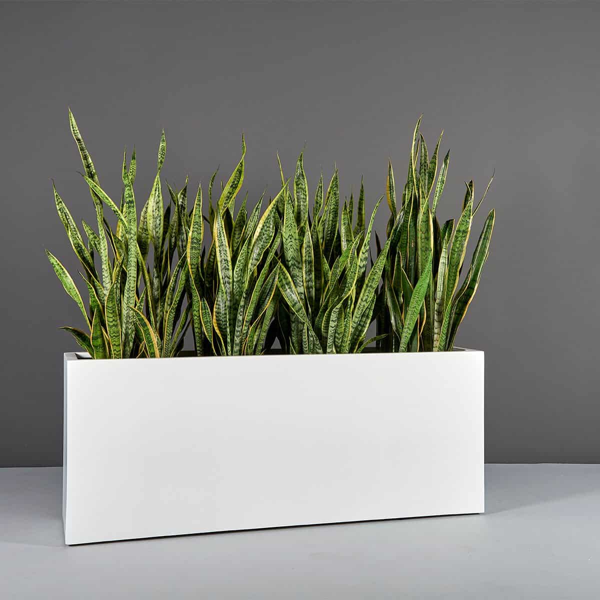 Tolga Rectangular Planter