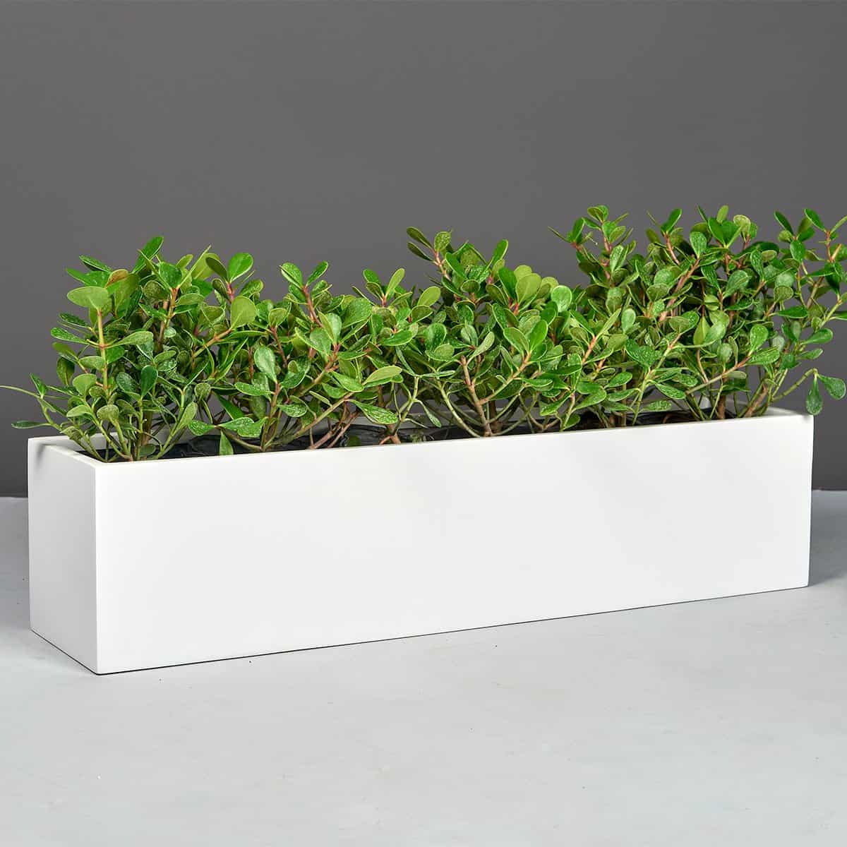 Vicksburg Rectangular Tabletop Planter
