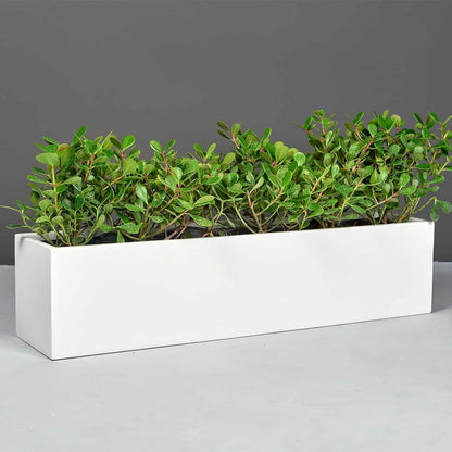 Vicksburg Rectangular Tabletop Planter