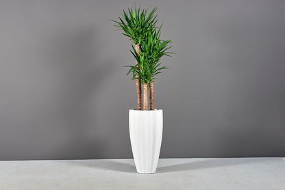 San Jose Tall Fluted Round Planter