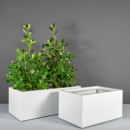 Torino Wide Rectangle Planter