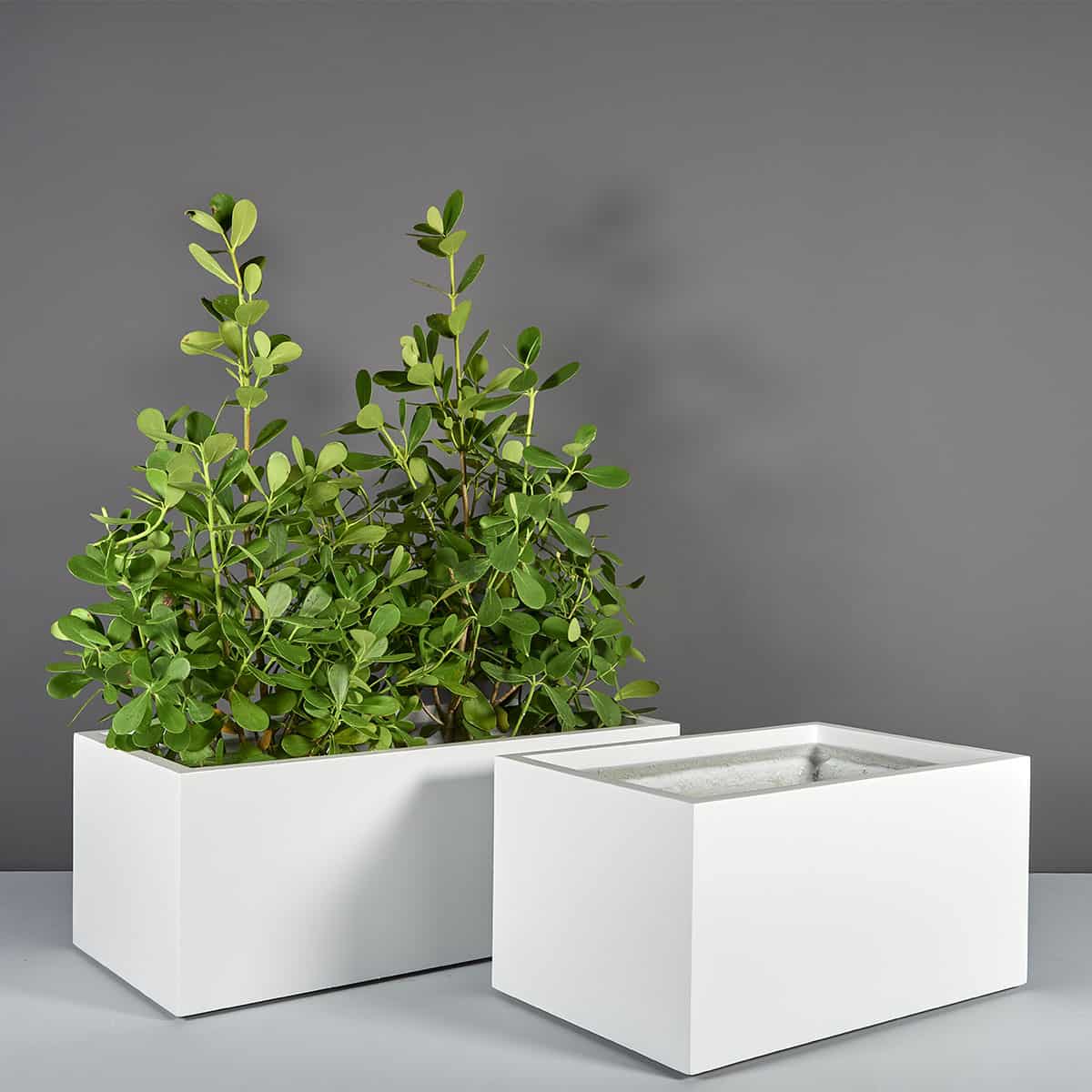 Torino Wide Rectangle Planter