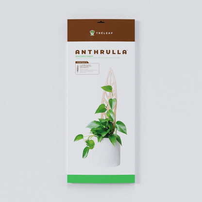 Anthrulla - Plant trellis inspired by the Queen Anthurium