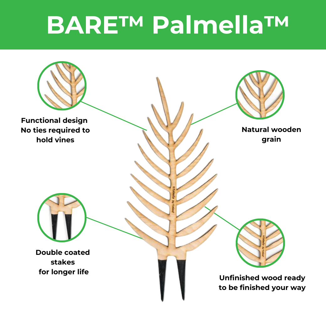 BARE™ Palmella™ - Customizable wooden plant support - Inspired by the Palm leaf
