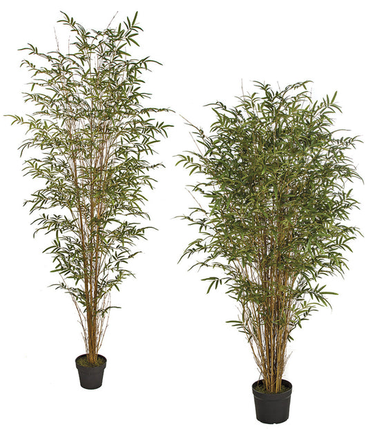 Bamboo Palm Tree with Natural Twig/Canes | 6 Foot or 7 Foot