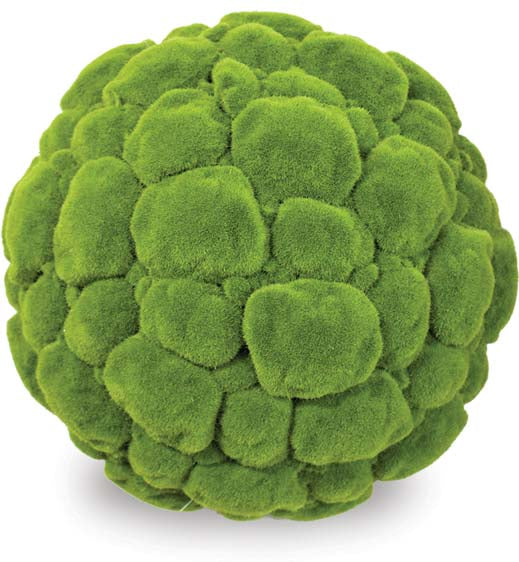 Moss Ball