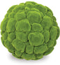 Moss Ball