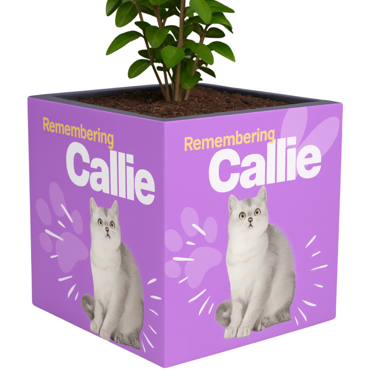 Custom Wrapped Planter - Callie Template