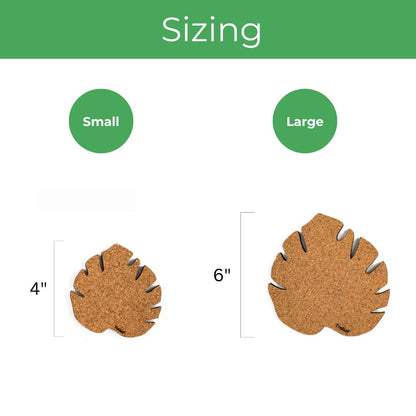 Kostr™ - Monstera Leaf-shaped  cork plant pot coaster
