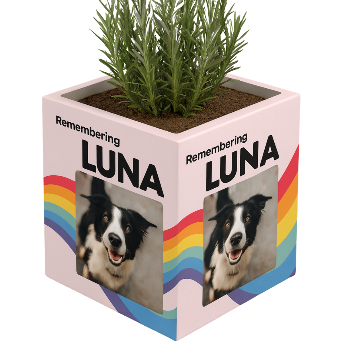 Custom Wrapped Planter - Luna Template
