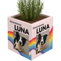 Custom Wrapped Planter - Luna Template