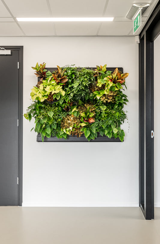 LivePanel Pack - Not Including Plants
