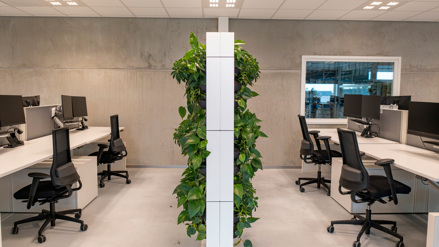 LiveDivider - Plants Not Included