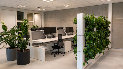 LiveDivider - Plants Not Included