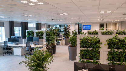 LiveDivider - Plants Not Included