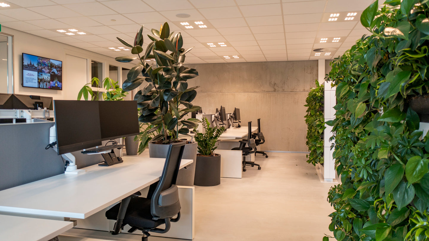 LiveDivider - Plants Not Included