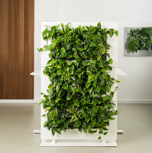 LiveDivider - Plants Not Included