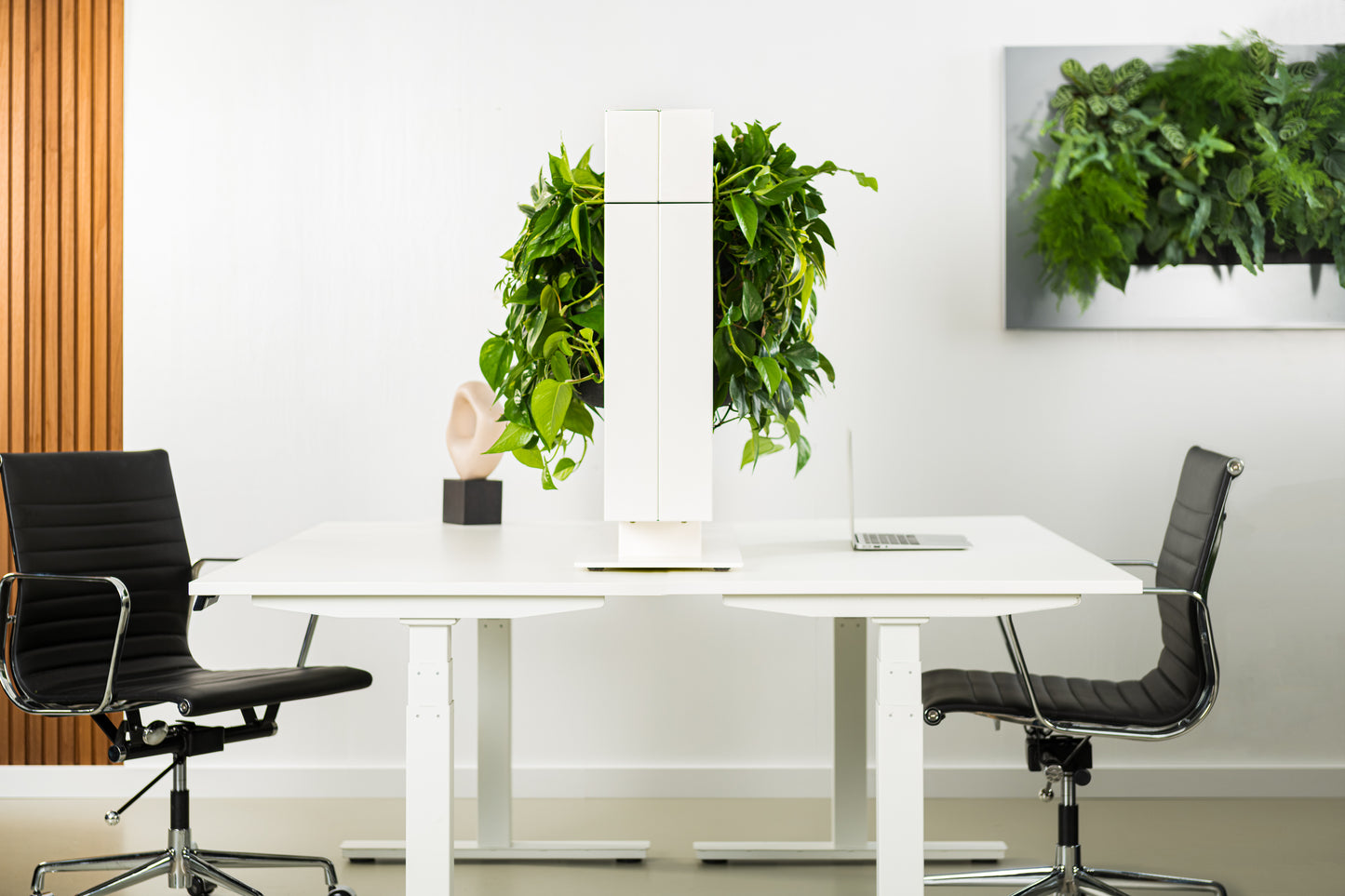 LiveDivider - Plants Not Included