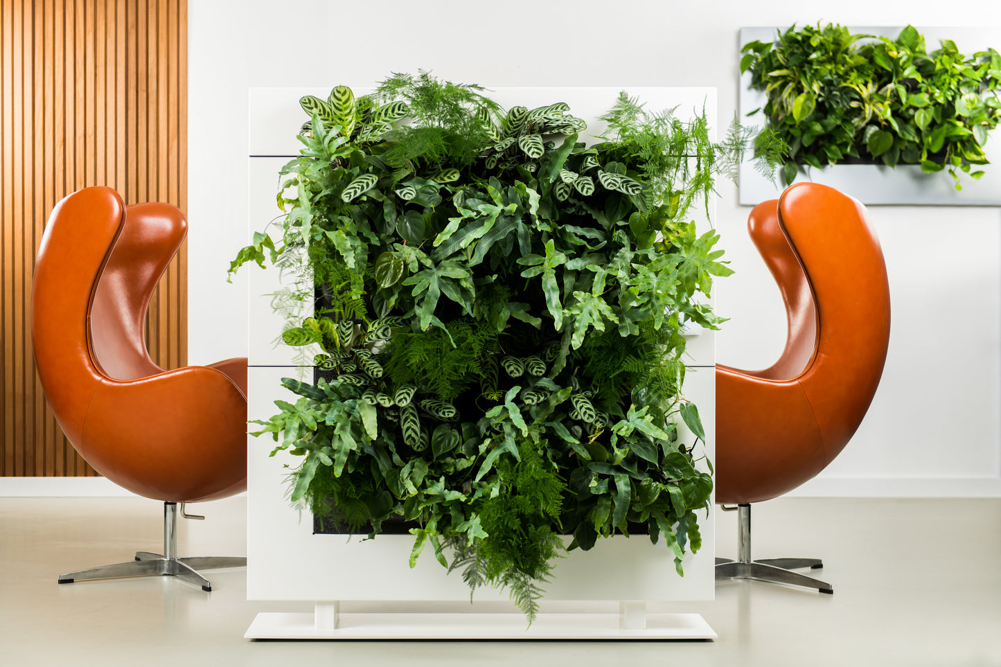 LiveDivider - Plants Not Included