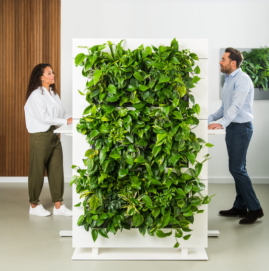 LiveDivider - Plants Not Included