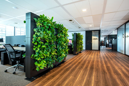LiveDivider - Plants Not Included