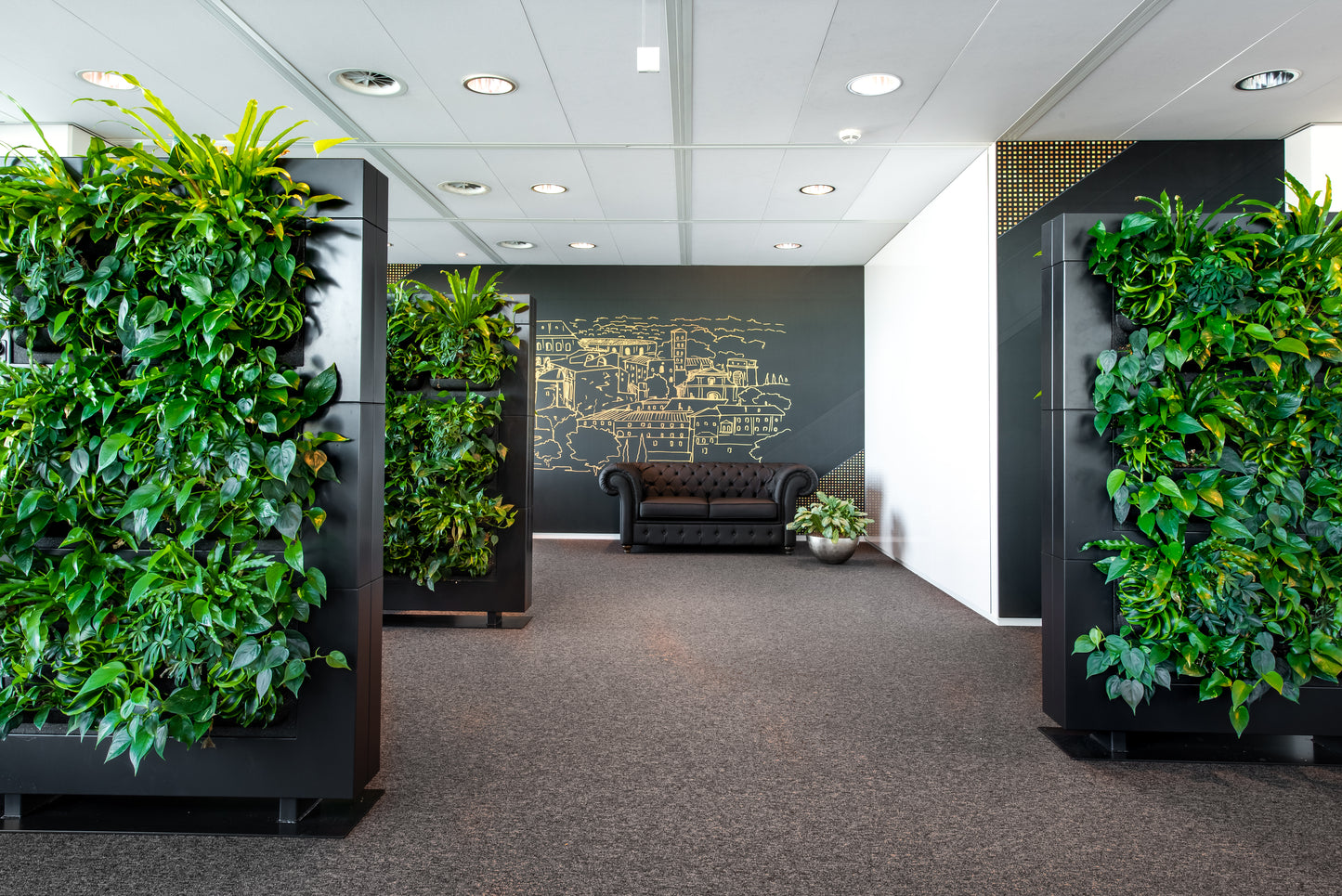 LiveDivider - Plants Not Included