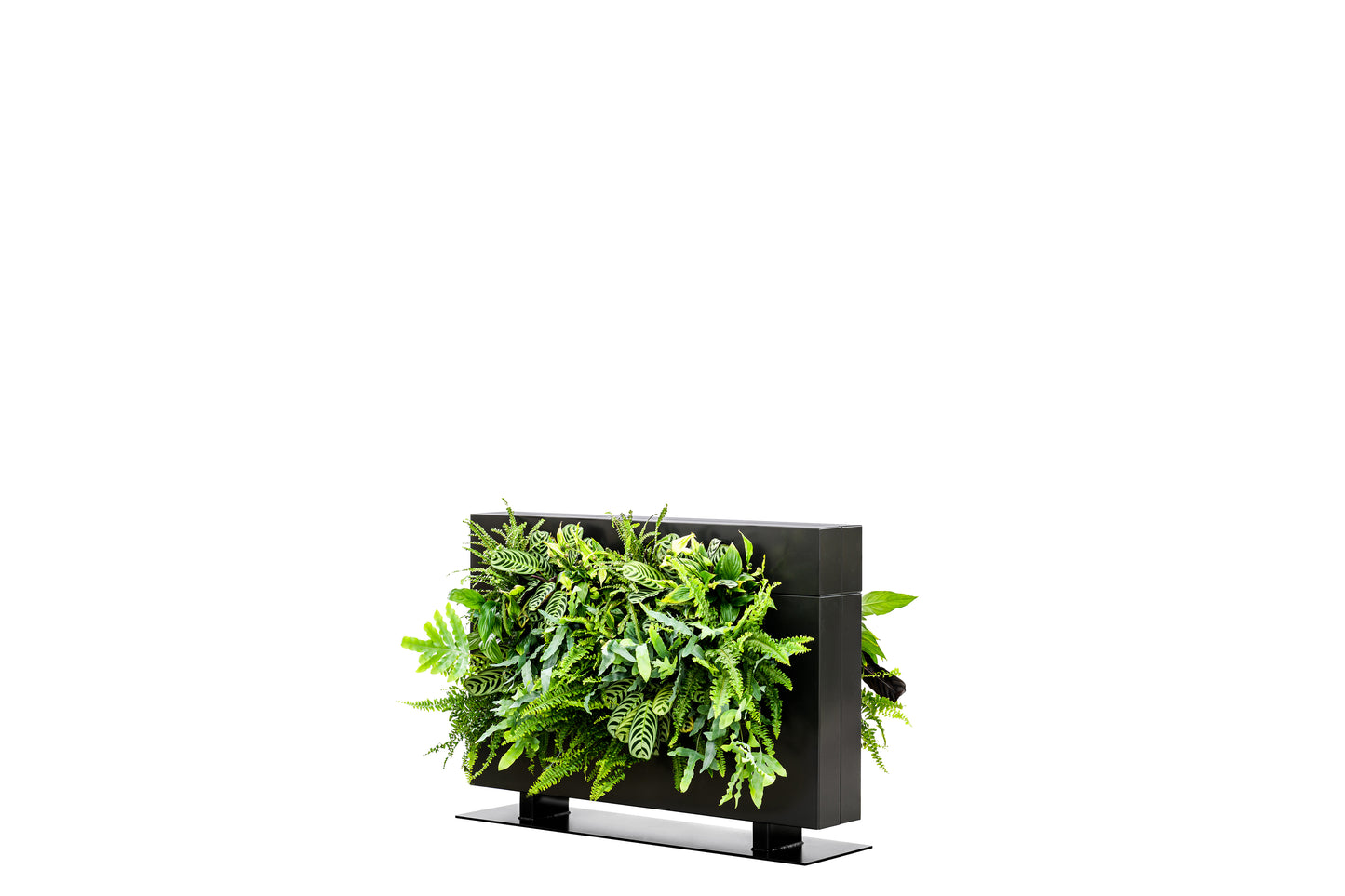 LiveDivider - Plants Not Included