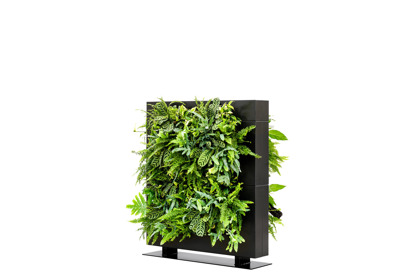 LiveDivider - Plants Not Included