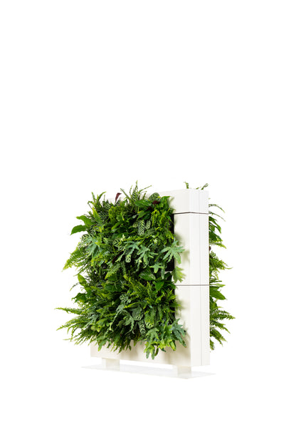 LiveDivider - Plants Not Included