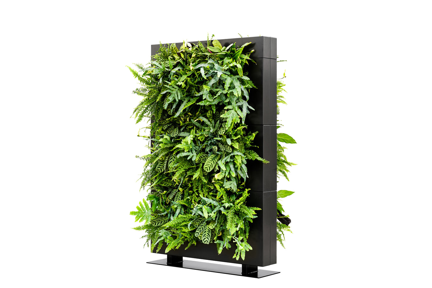LiveDivider - Plants Not Included