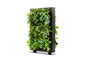 LiveDivider - Plants Not Included