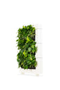 LiveDivider - Plants Not Included