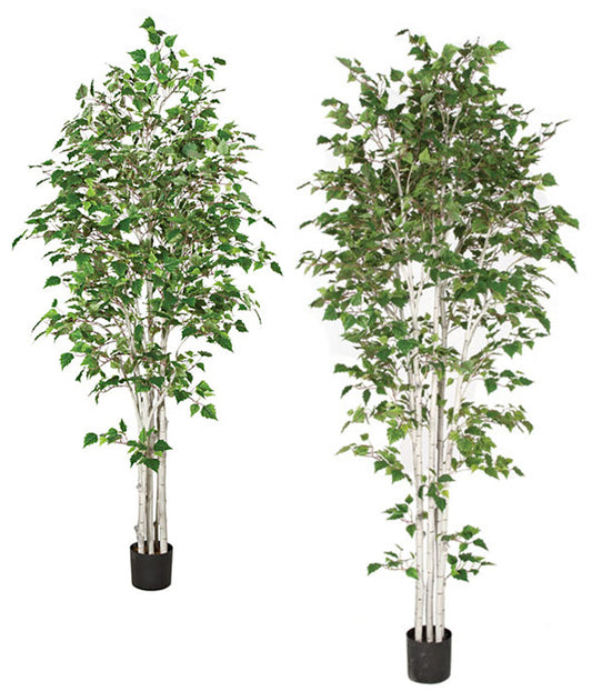 Artificial 7 Ft. or 9 Ft. Tall White Birch Trees