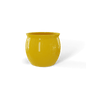 GSF Gloss Saffron