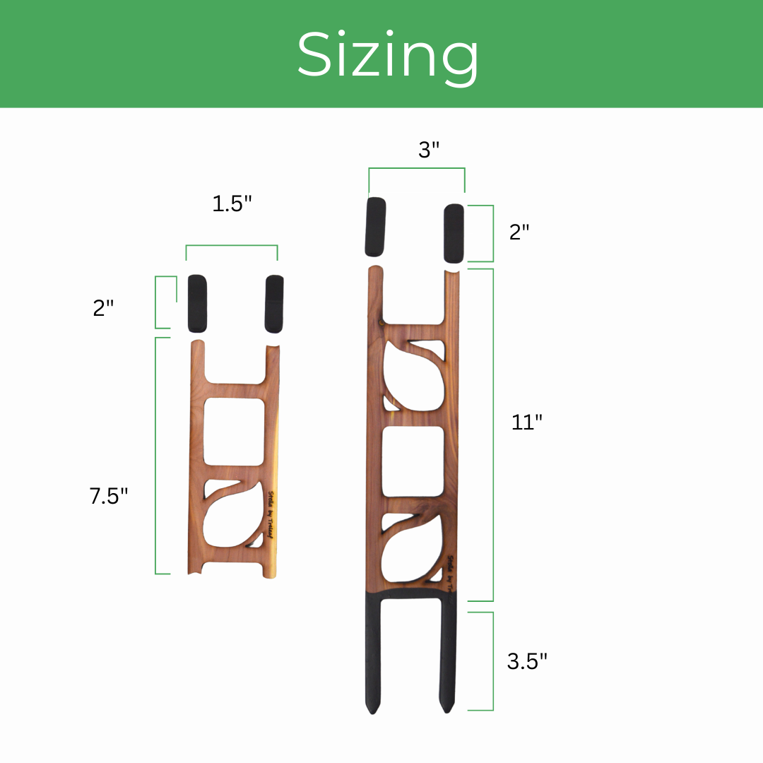 Stella - Modular ladder support